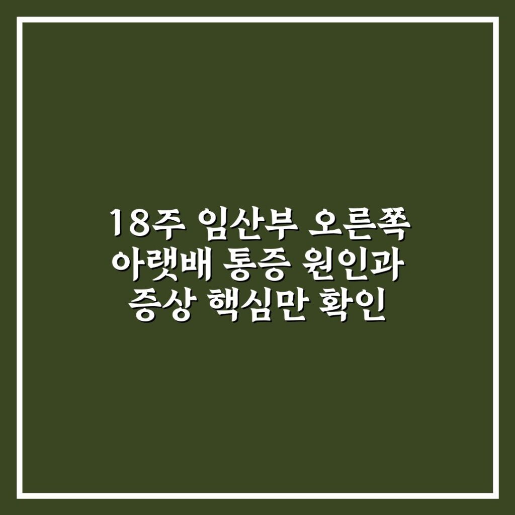 18주 임산부 오른쪽 아랫배 통증 원인과 증상 핵심만 확인