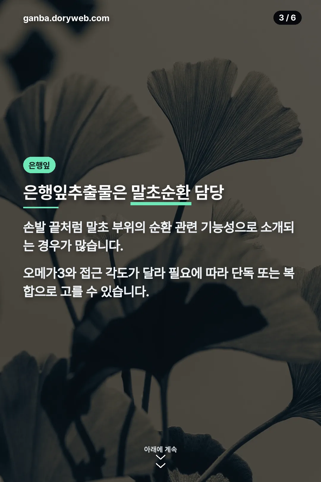은행잎추출물 역할