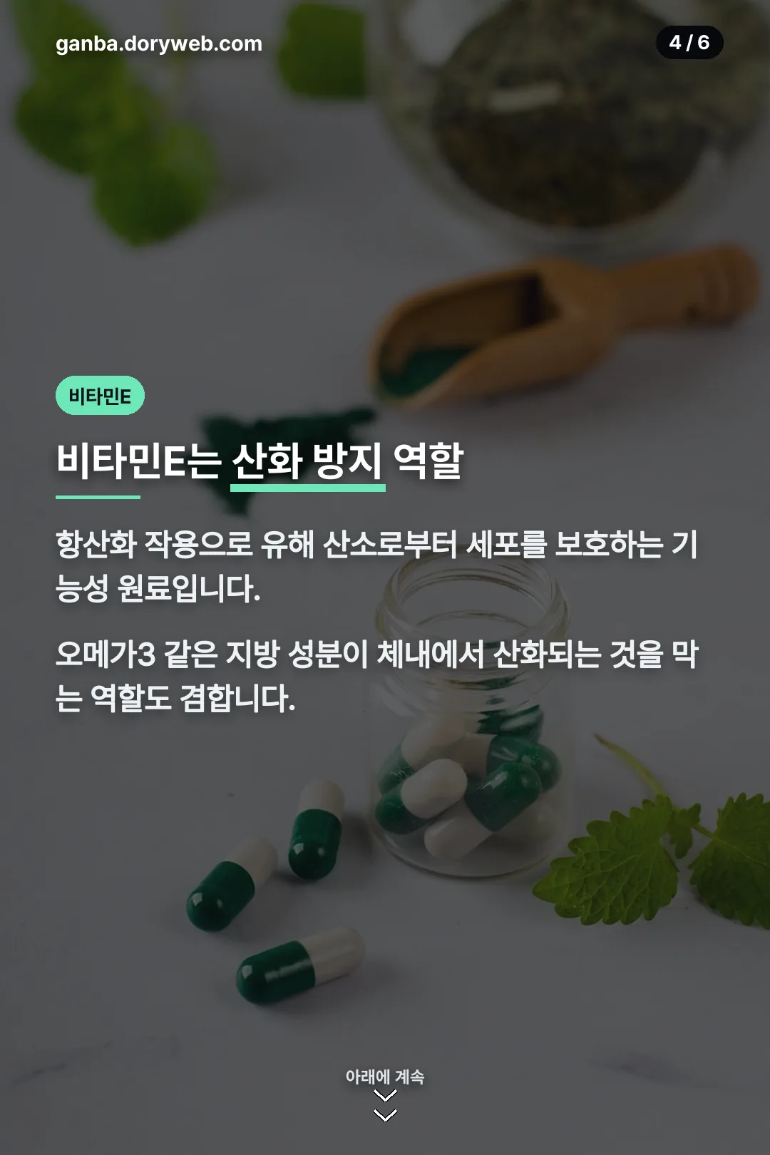 비타민E 산화 방지 역할