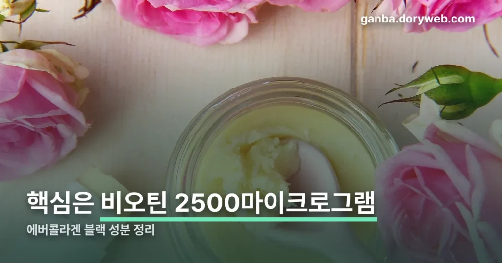 에버콜라겐 블랙 정리 썸네일