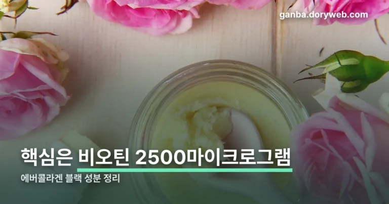 에버콜라겐 블랙 정리 썸네일