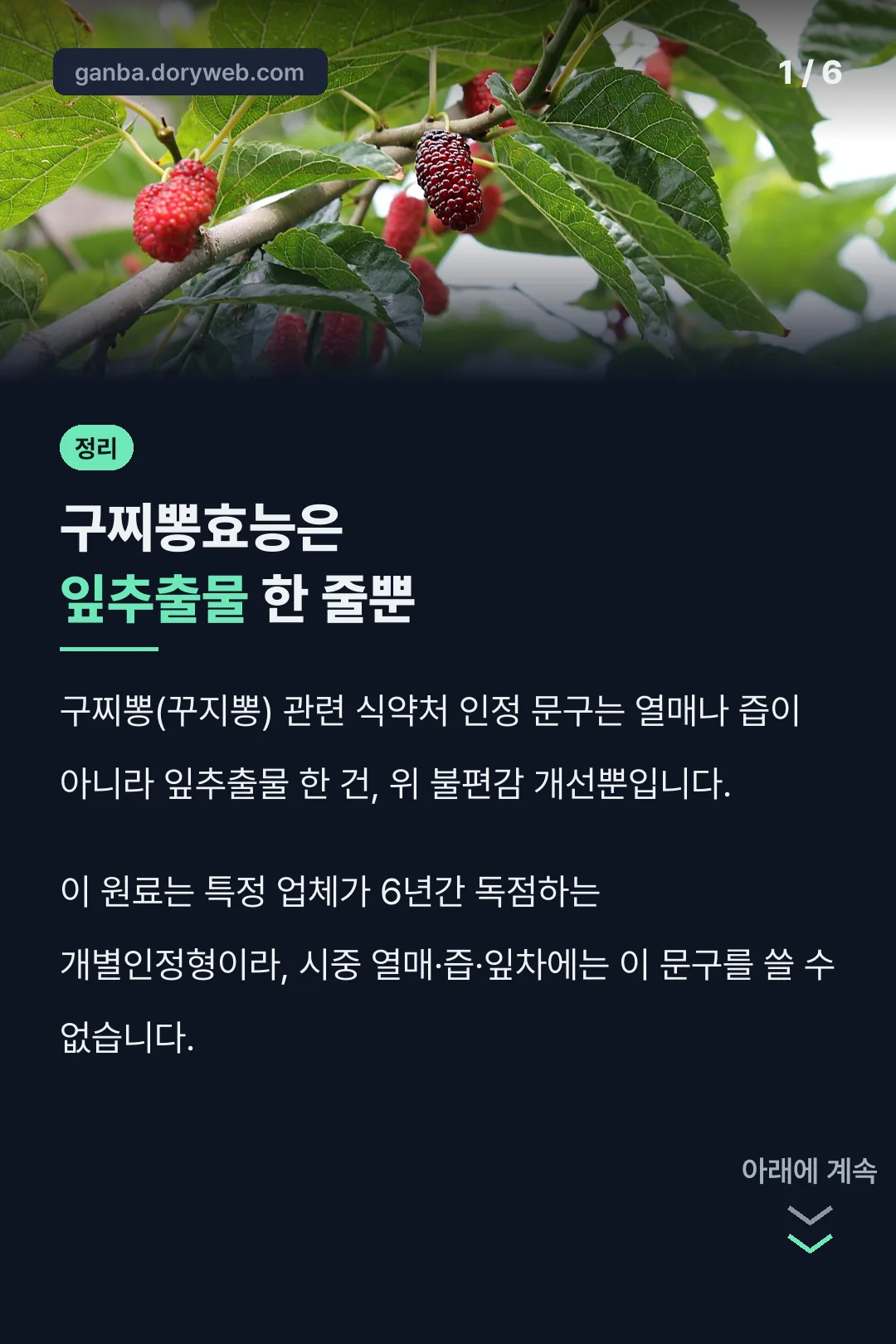 구찌뽕효능은 잎추출물 한 줄뿐
