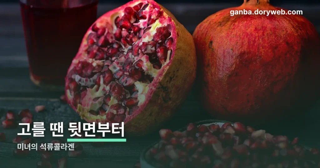 미녀의 석류콜라겐 정리 썸네일