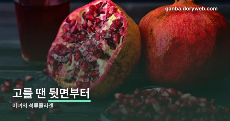 미녀의 석류콜라겐 정리 썸네일
