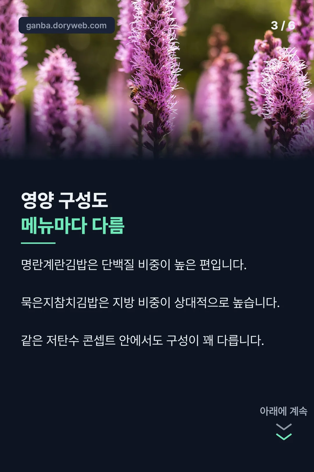 영양 구성 비교