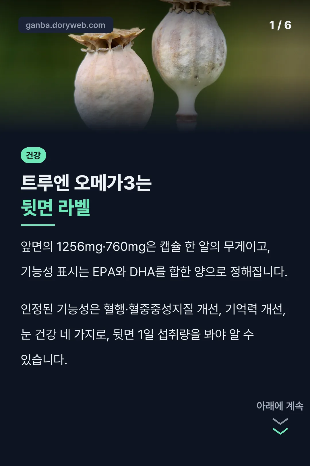 트루엔 오메가3는 뒷면 라벨