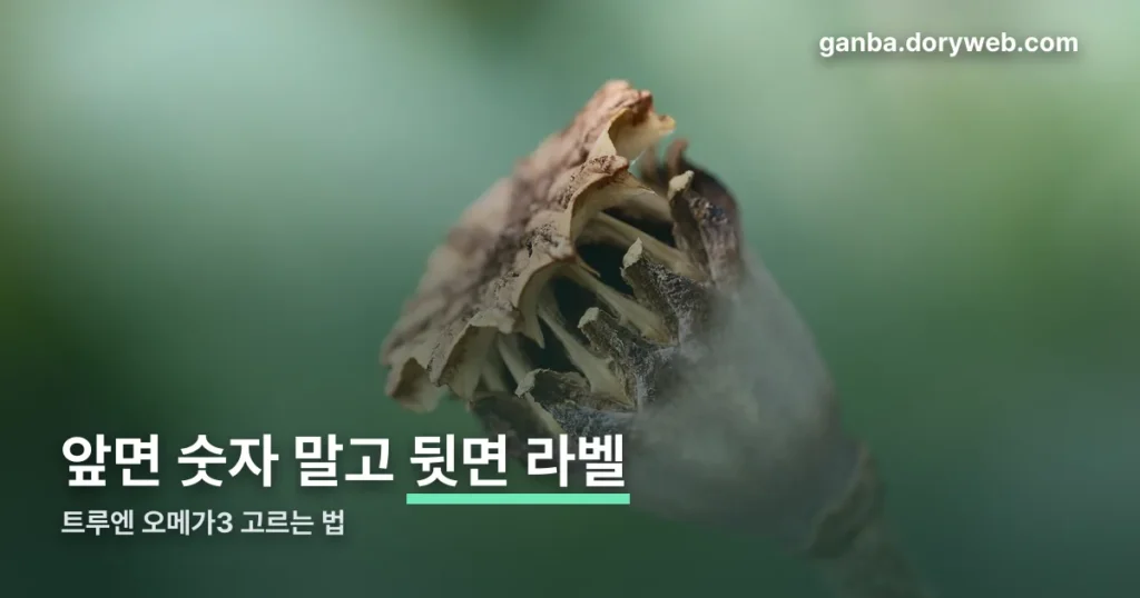 트루엔 오메가3 정리 썸네일