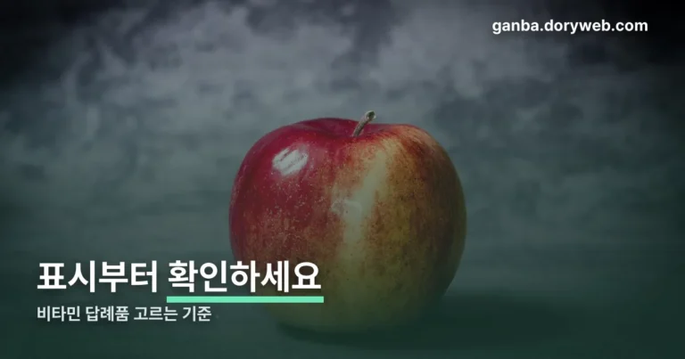 비타민 답례품 정리 썸네일