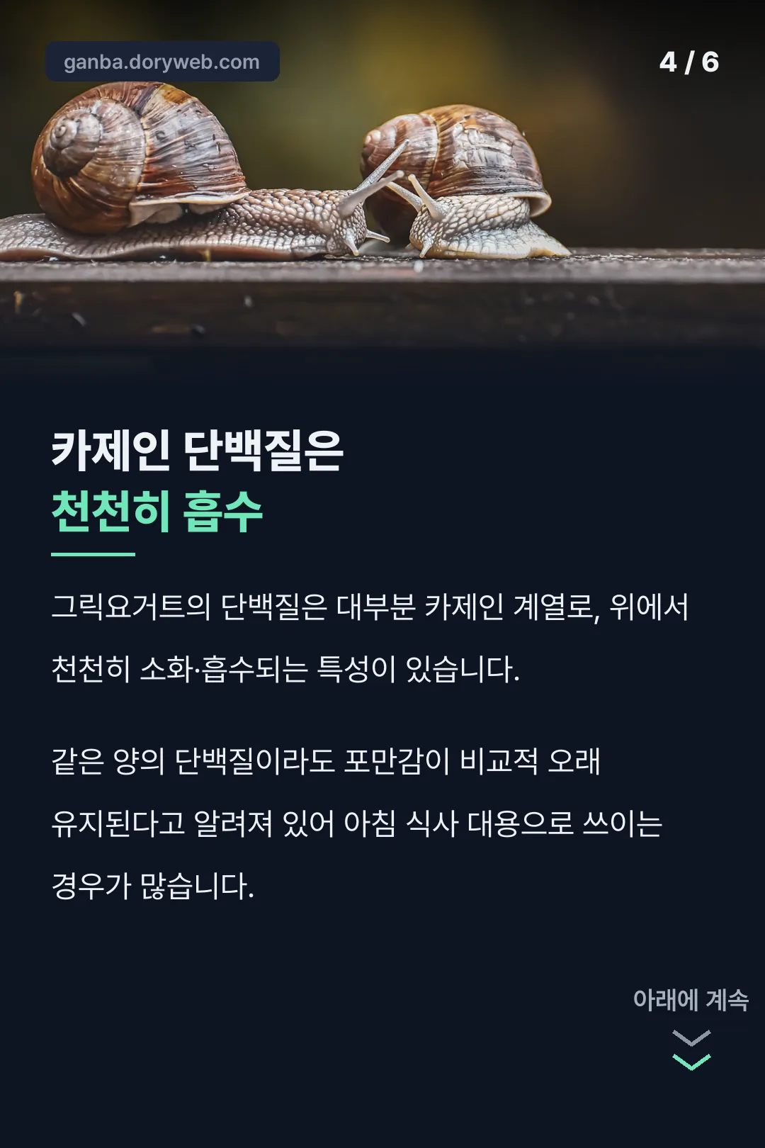 카제인 단백질 포만감