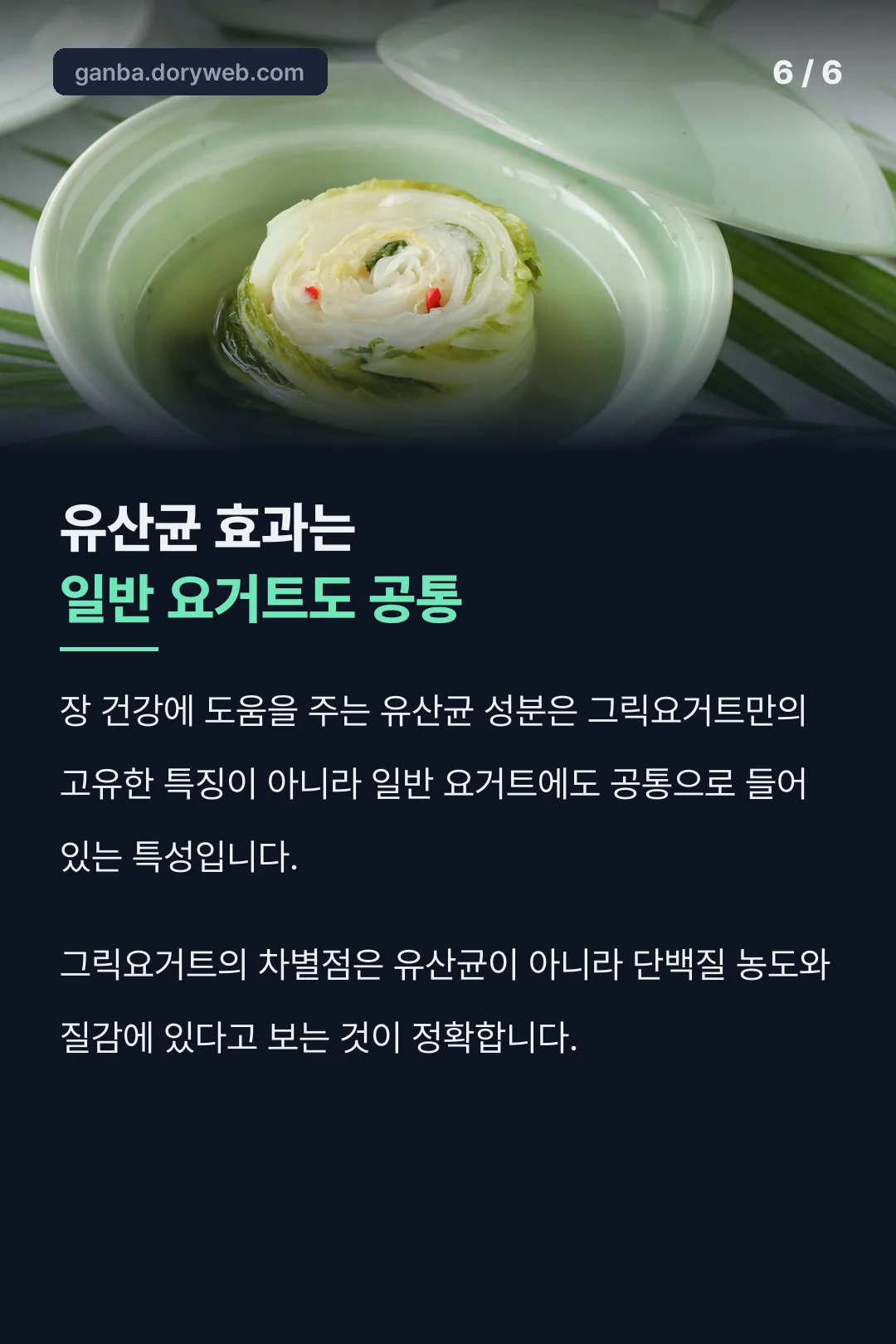 유산균은 공통 특징