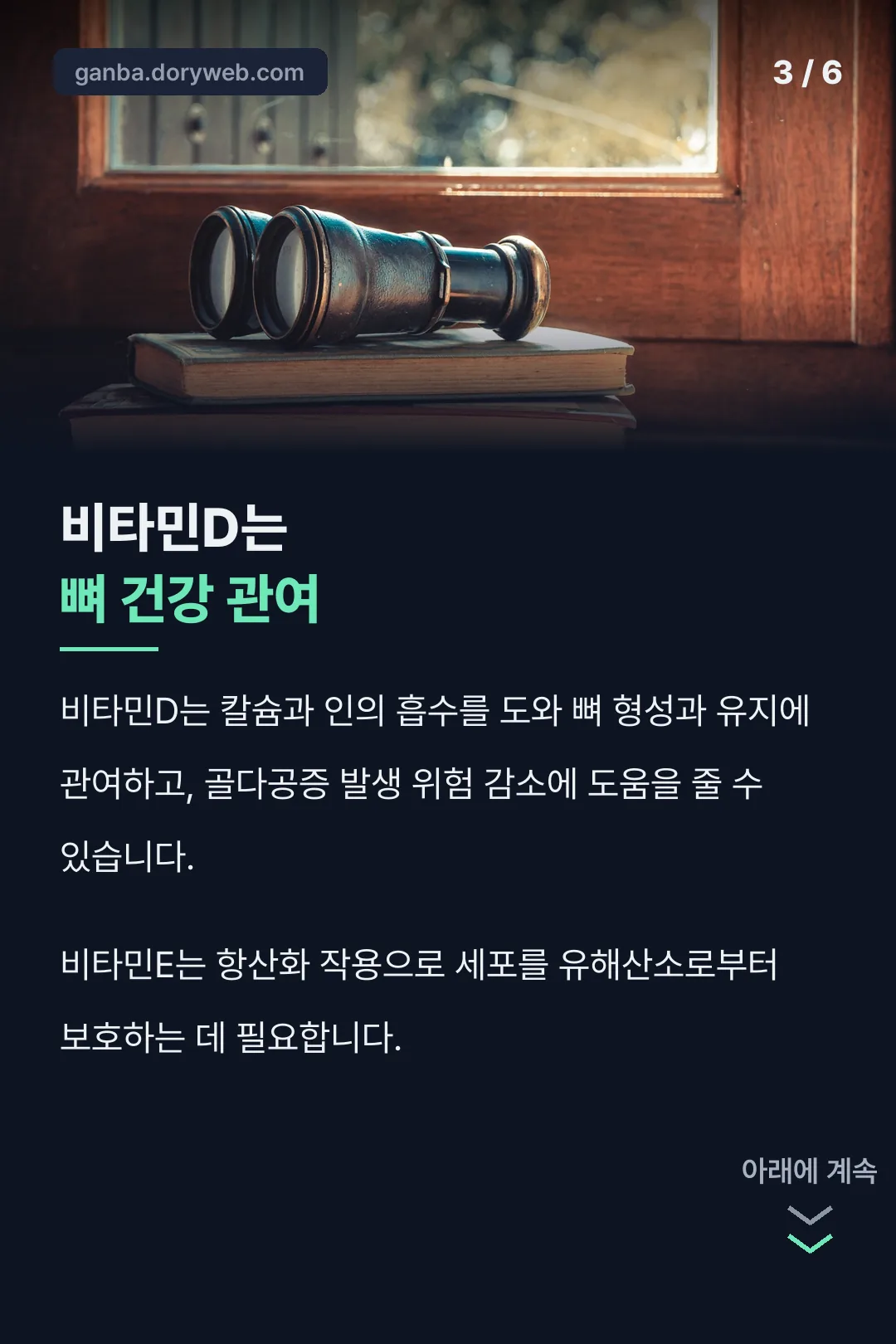 비타민D 기능성