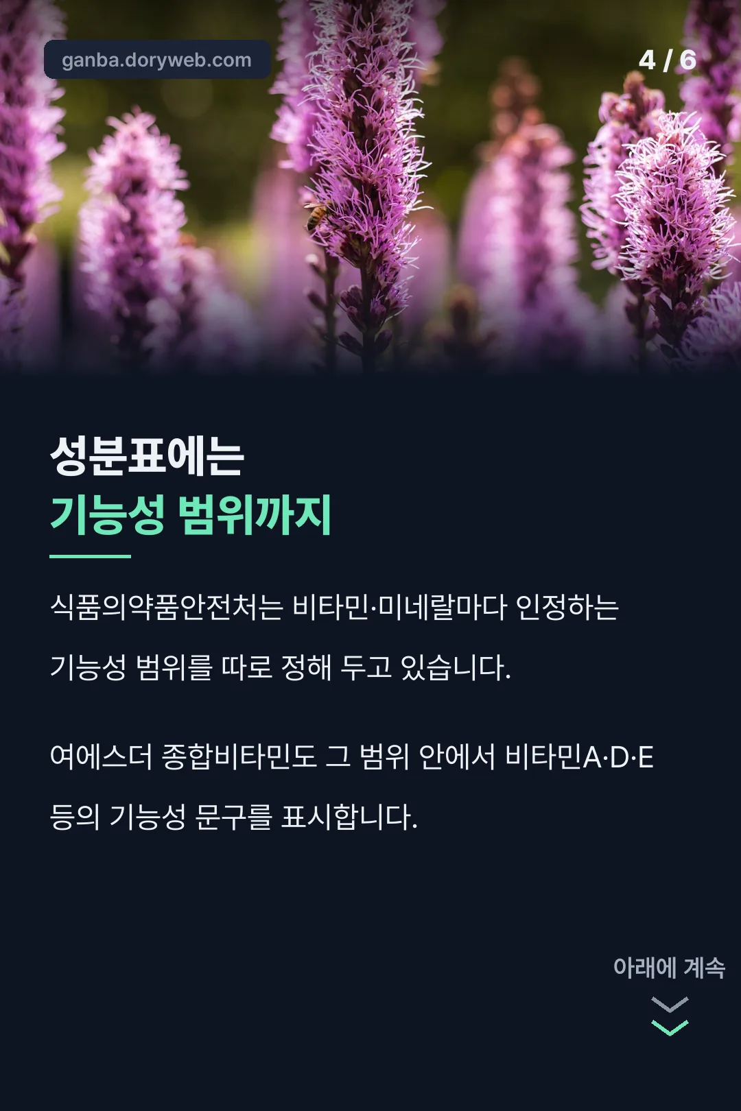 기능성 범위 안내