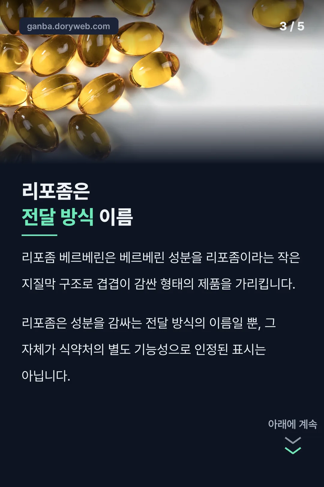 리포좀 베르베린이란